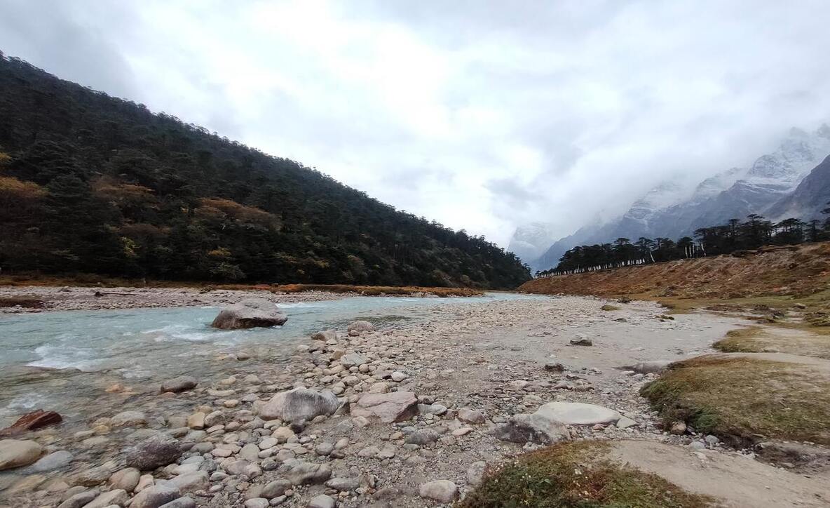 Yumthang valley is the most beautiful part of North Sikkim 